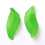 Transparent Acrylic Pendants