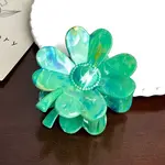Resin Claw Hair Clips