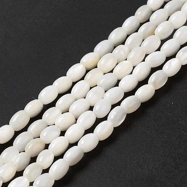 Natural Freshwater Shell Beads Strand