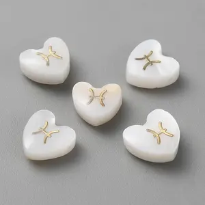 5Pcs Natural White Shell Beads