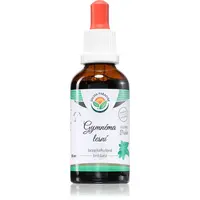 Salvia Paradise Gymnéma lesní tinktura tinktura pro udržení normální hladiny cukru v krvi 50 ml