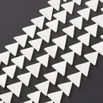 Natural Freshwater Shell Beads Strands