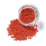 Opaque 12/0 Glass Seed Beads