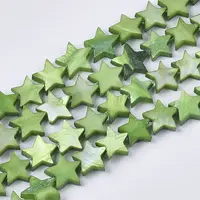Freshwater Shell Beads Strands