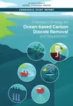 A Research Strategy for Ocean-based Carbon Dioxide Removal and Sequestration - Engineering, and Medicine National Academies of Sciences, Division on E