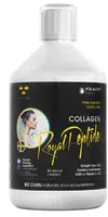 KOLAGENDRINK Collagen Royal Peptide hydrolyzovaný rybí kolagen bez cukru 500 ml