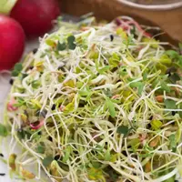 Semená na klíčky - Regeneračná zmes