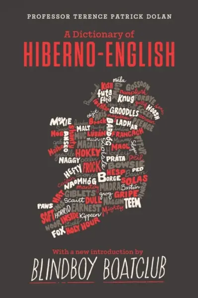 A Dictionary of Hiberno English - Terence Patrick Dolan