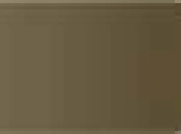 Pastel Caran d'Ache Neocolor I 049 Raw umber