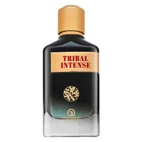 Grandeur Tribal Intense parfémovaná voda pro muže 100 ml
