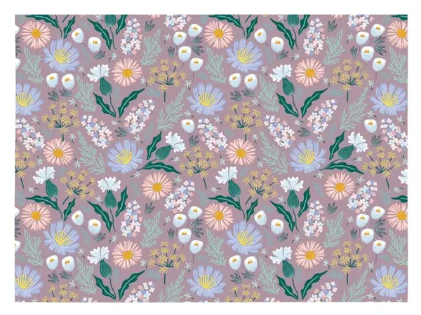 Balicí papír K358 100x70 LUX