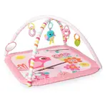 BRIGHT STARTS Deka na hraní Birds and Blooms 0m+, 2018