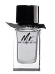Burberry Mr. Burberry - EDT 100 ml