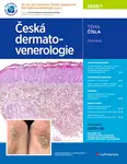 E-kniha: Česká dermatovenerologie 2023/1 od Hercogová Třešňák Jana