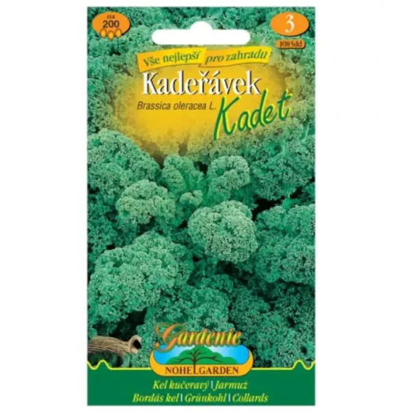 Kel kučeravý Kadet, zelený