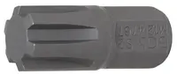 BGS technic Bit RIBE - profil 10mm (různé velikosti) - BGS Velikost: 12x30 mm