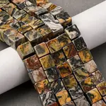 Natural Map Stone Beads Strands