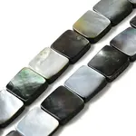Natural Black Lip Shell Beads Strands