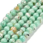 Assembled Synthetic Stone and Trochus Shell Beads Strands