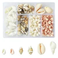 6 Styles Natural Cowrie Shell Pendants and Shell Beads Kits
