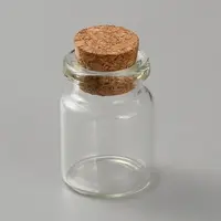 Glass Empty Wishing Bottle