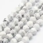 Natural Howlite Beads Strands