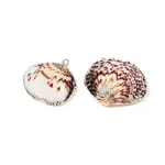 Electroplated Edge Natural Sea Shell Pendants