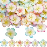 60Pcs 6 Colors Opaque Resin Decoden Cabochons