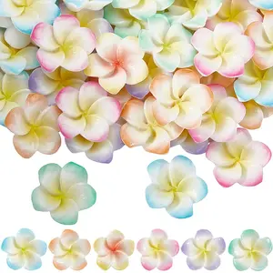 60Pcs 6 Colors Opaque Resin Decoden Cabochons