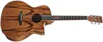 Tanglewood TWX6CE PW