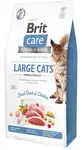 Brit Care Large Cats Power Vitality 2 kg