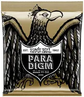 Ernie Ball 2088 Paradigm 80/20 Bronze Light