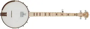 Deering Goodtime Acoustic/Electric
