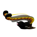 Lyrochvost 3D kartonová skládačka