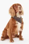 Barbour  bandana pro psa