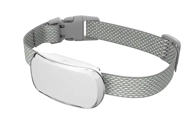 Reedog TC-005 - Bílá