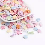 Craft Style Colorful Acrylic Beads
