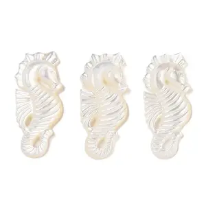 Natural White Shell Carved Pendants