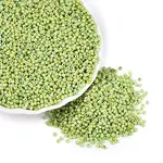 Picasso Glass Seed Beads