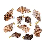 Brass & Natural Spiral Shell Pendants