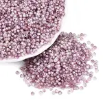 Baking Paint Glass Seed Beads