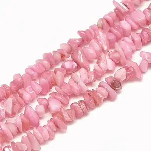 Freshwater Shell Beads Strands