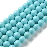 Shell Pearl Beads Strands