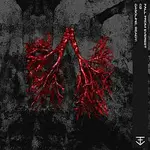 Fall From Everest – gasoline, ready!