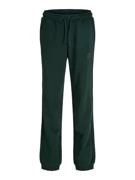 Jack & Jones Junior Nohavice 'JJIGORDON'  jedľová