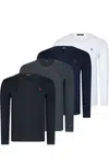 Pánské triko 4pack dewberry