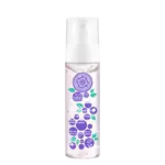 ANTI-OX WILD BLUEBERRY Hydratační pleťová mlha tonikum 100 ml