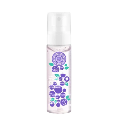 ANTI-OX WILD BLUEBERRY Hydratační pleťová mlha tonikum 100 ml