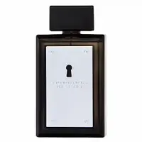 Antonio Banderas The Secret toaletní voda pro muže 100 ml