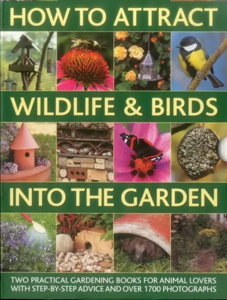 How to Attract Wildlife & Birds into the Garden - Christine Lavelle, Michael Lavelle